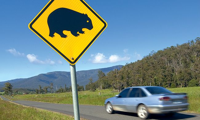 LUMIERE D'AUSTRALIE + EXTENSION DARWIN pas cher photo 7