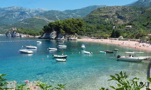 INDISPENSABLE MONTENEGRO pas cher photo 5