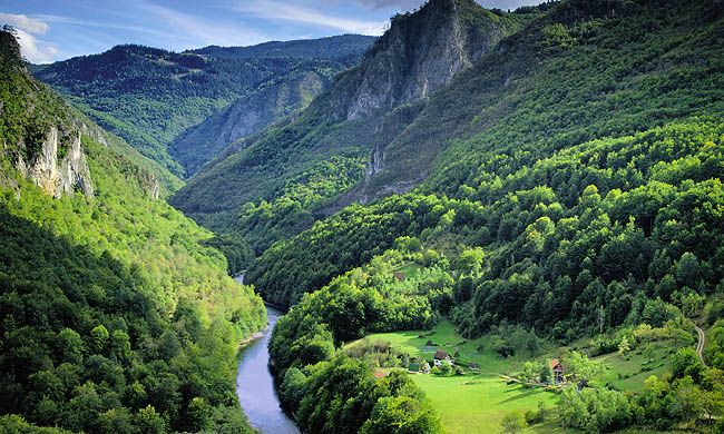 INDISPENSABLE MONTENEGRO pas cher photo 8