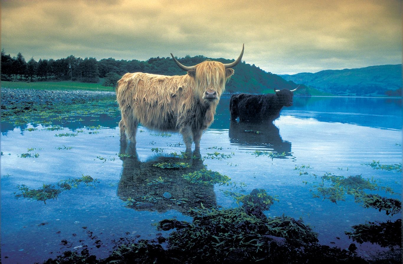 SUR LA ROUTE : ECOSSE - 8J/7N -2020 pas cher photo 6