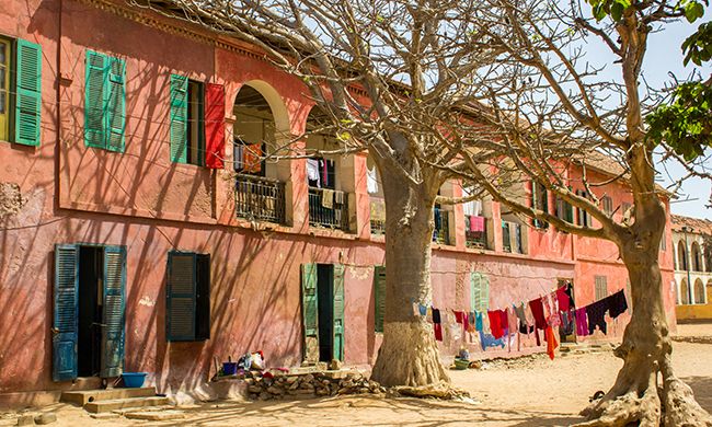 INDISPENSABLE SENEGAL pas cher photo 2