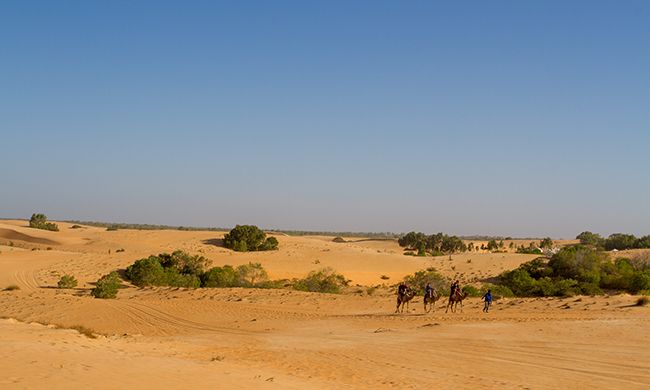 INDISPENSABLE SENEGAL pas cher photo 3