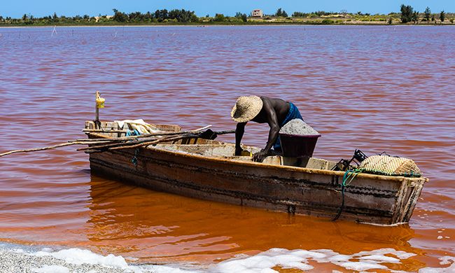 INDISPENSABLE SENEGAL pas cher photo 4