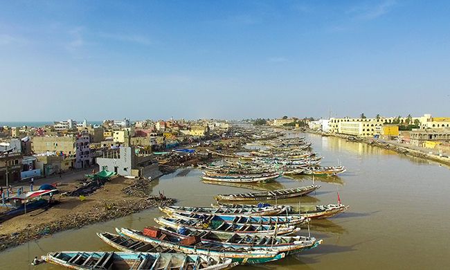 INDISPENSABLE SENEGAL pas cher photo 5