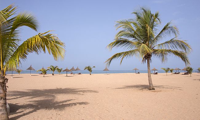 INDISPENSABLE SENEGAL pas cher photo 6