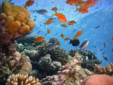 Merveilles d'Egypte & Mer Rouge 12J / 10J ou 11J - 2020 pas cher photo 3