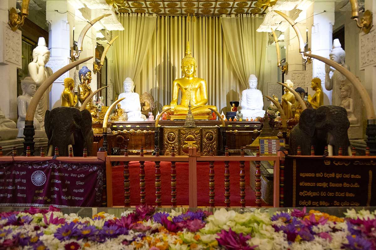 Circuit Grand tour du Sri Lanka pas cher photo 12