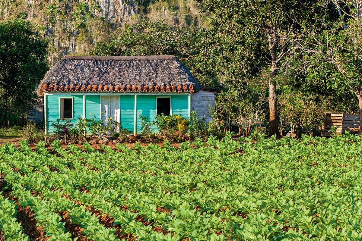 Circuit Nuances Cubaines pas cher photo 5