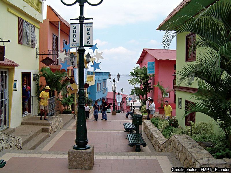 DECOUVERTE DE L'EQUATEUR pas cher photo 6