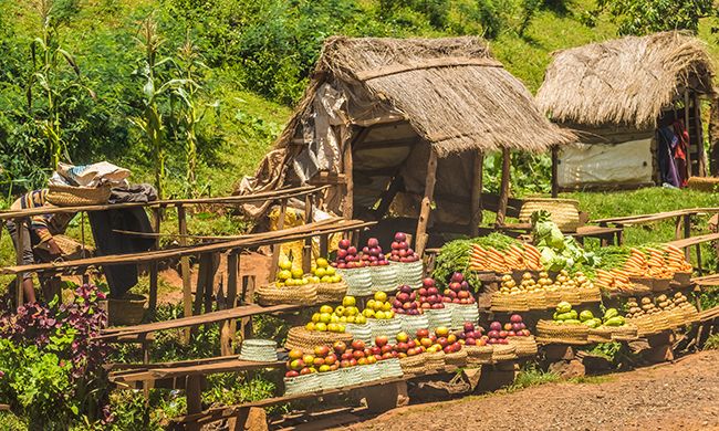 CONFIDENTIEL MADAGASCAR + IFATY pas cher photo 1
