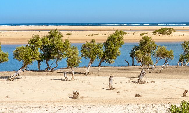 CONFIDENTIEL MADAGASCAR + IFATY pas cher photo 4