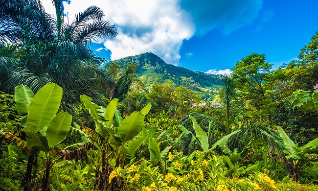 CONFIDENTIEL MADAGASCAR + IFATY pas cher photo 9