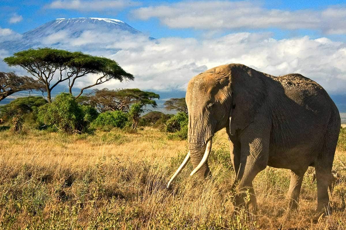 Circuit L'essentiel du Kenya en 4x4 pas cher photo 9