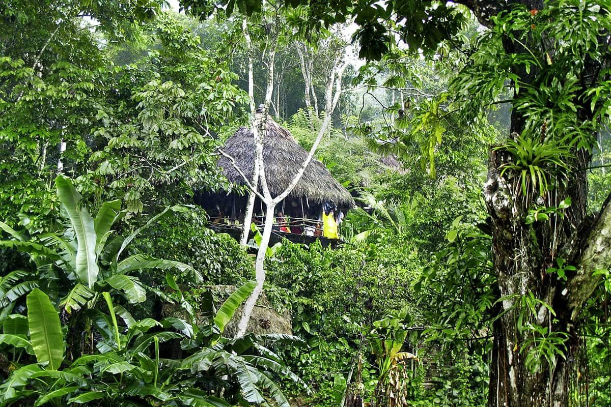 Circuit Du Costa Rica au Panama pas cher photo 10