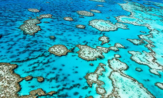 LUMIERE D'AUSTRALIE pas cher photo 2