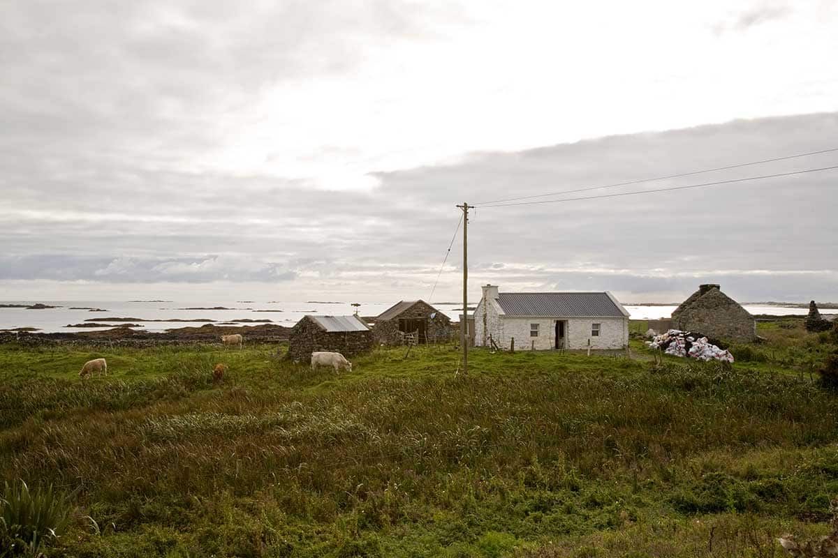 Sensationnelle Côte sauvage Irlandaise pas cher photo 8