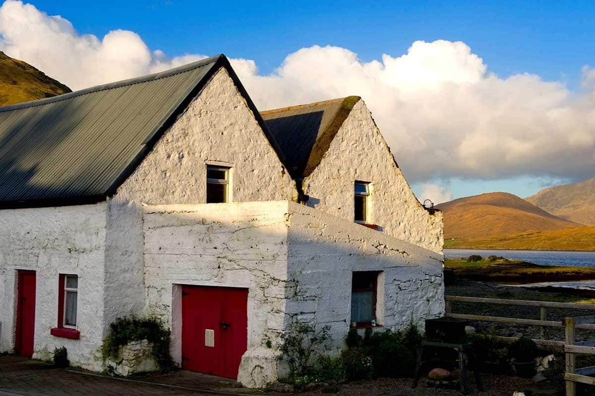 Sensationnelle Côte sauvage Irlandaise pas cher photo 10