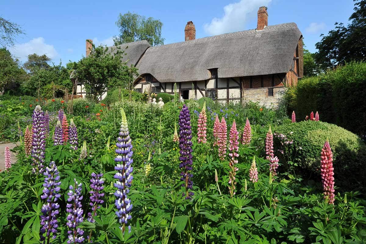 Circuit Magie d'Angleterre pas cher photo 10