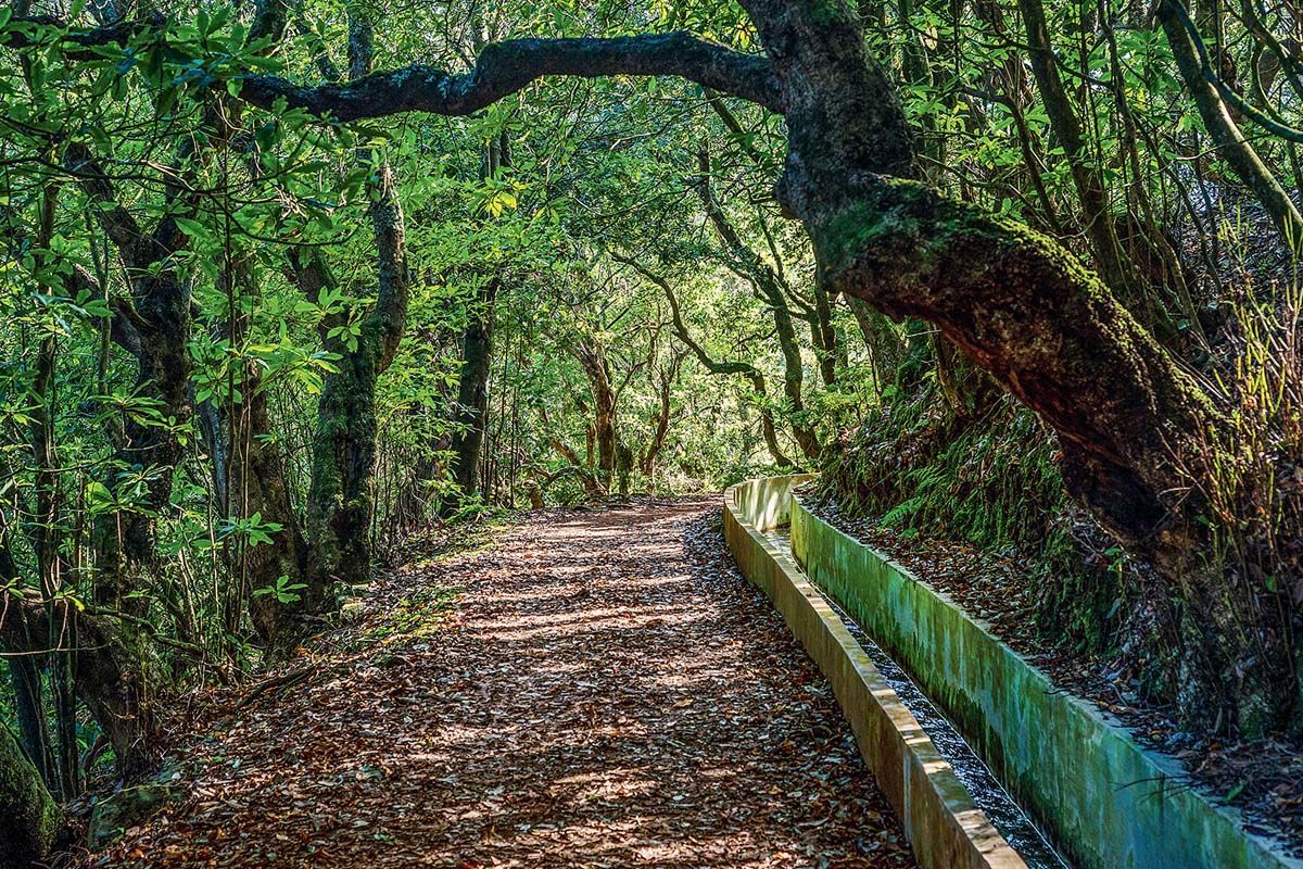 Circuit Echappée entre Terre et Mer à Madère depuis le Dom Pedro Garajau 3* pas cher photo 2