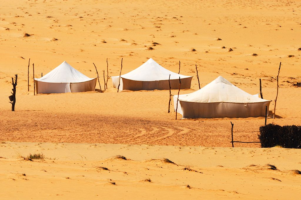 Circuit Les Oasis du Sénégal pas cher photo 1