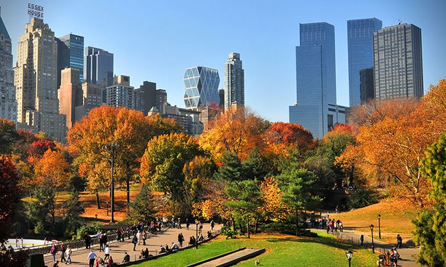 1ER REGARD NEW YORK pas cher photo 5