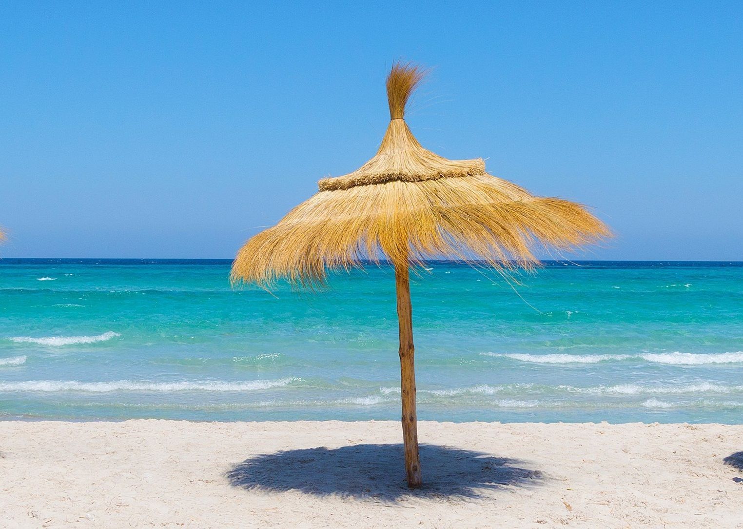 Circuit Rose des sables: Entre Mer & Désert pas cher photo 1