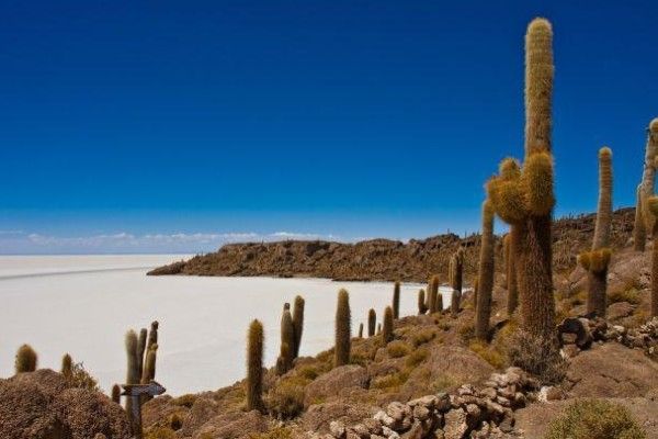 Circuit Pérou / Bolivie : Andes Majestueuses pas cher photo 1
