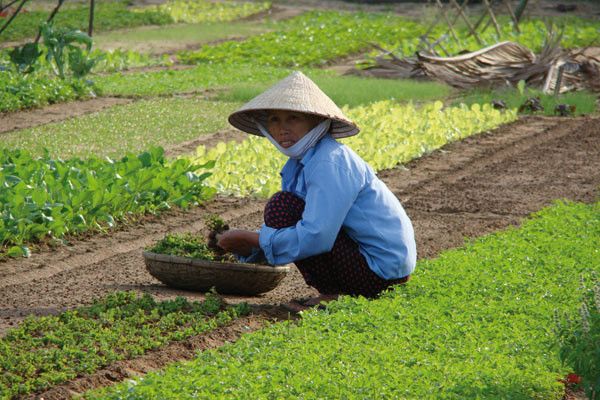 Circuit FRAM Vietnam légendaire et fascinant Cambodge 3* pas cher photo 10
