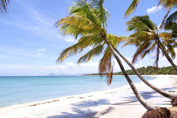 Combiné hôtels 2 îles - Guadeloupe et Martinique : Auberge de la Vieille Tour et Bako... 4* pas cher photo 1