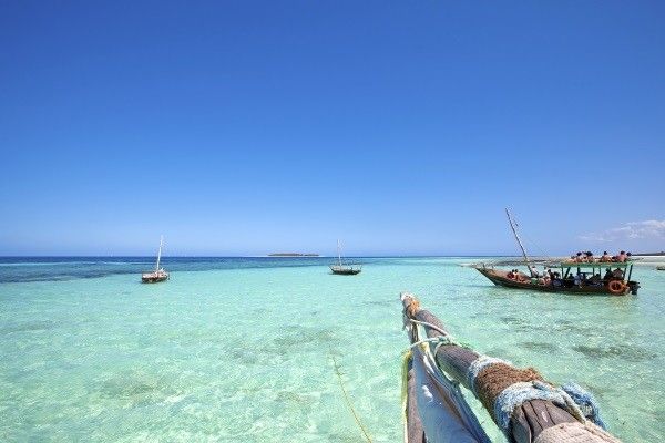 Circuit Zanzibar : entre nature, senteurs et plages au Framissima Paje Palms Beach 4* pas cher photo 2