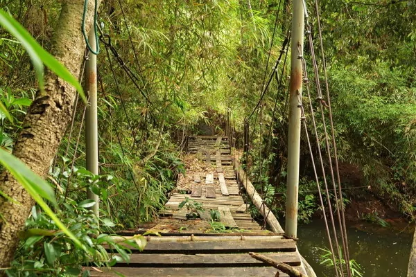 Circuit Costa Rica > Découverte du Costa Rica | LeComparateur.fr