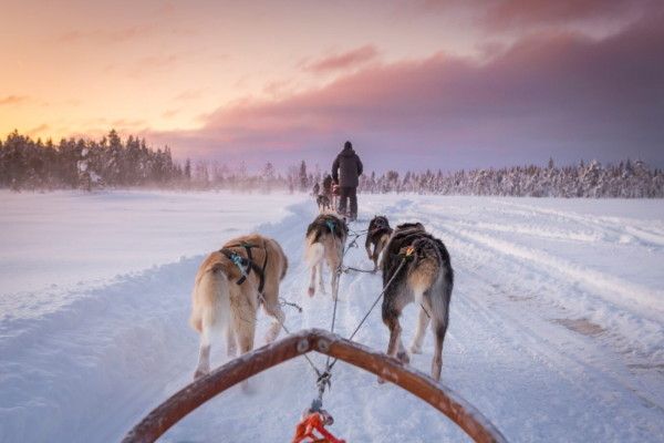Hôtel Séjour Activités "Merveilleuse Laponie Suédoise" Matarengi Lodge 4* pas cher photo 5
