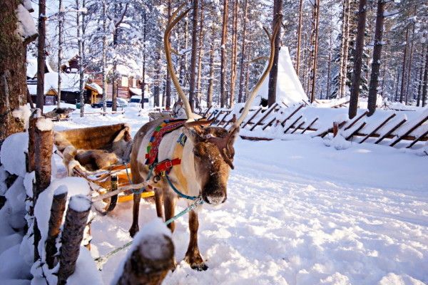 Hôtel Séjour Activités "Merveilleuse Laponie Suédoise" Matarengi Lodge 4* pas cher photo 9