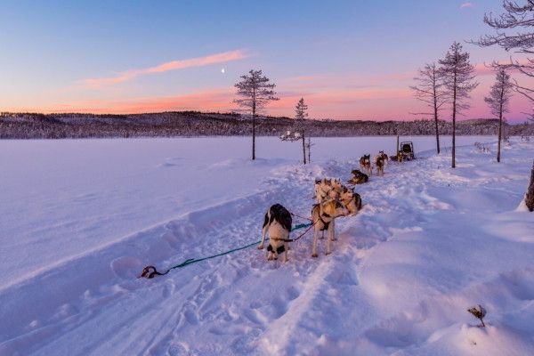 Hôtel Séjour Activités "Merveilleuse Laponie Suédoise" Matarengi Lodge 4* pas cher photo 10