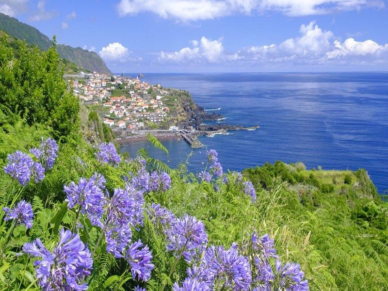 Circuit Energie de Madère - Dom Pedro Madeira Hôtel 4* pas cher photo 8