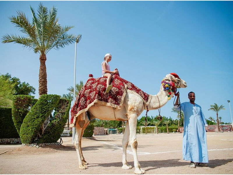 Hotel Hurghada Seagull Resort 4* pas cher photo 33