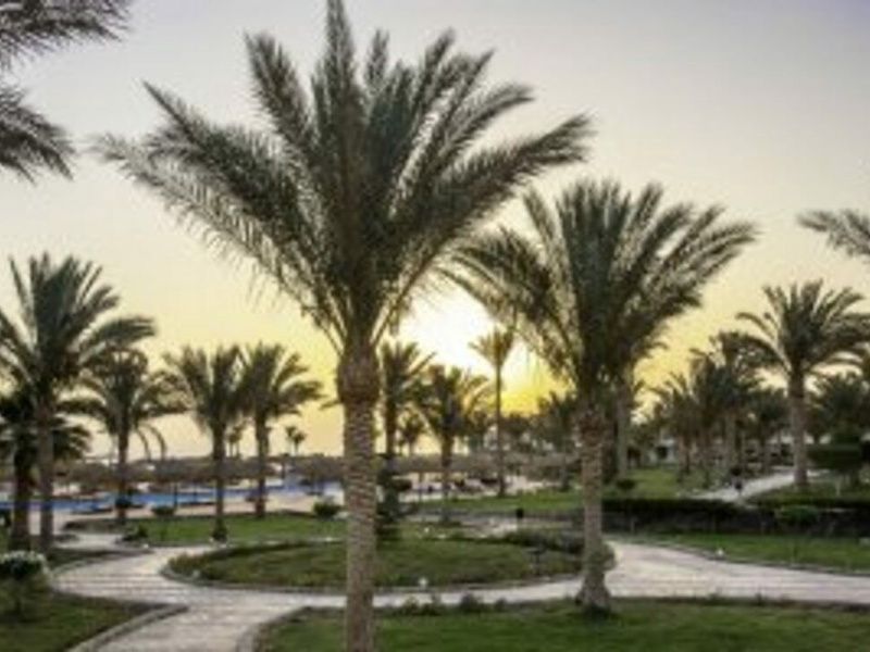 Hôtel Three Corners Sea Beach Resort 4* pas cher photo 20