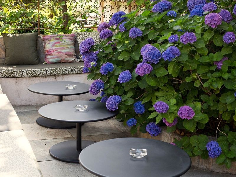 Hôtel Albion 3* ( avec vols réguliers ) pas cher photo 2