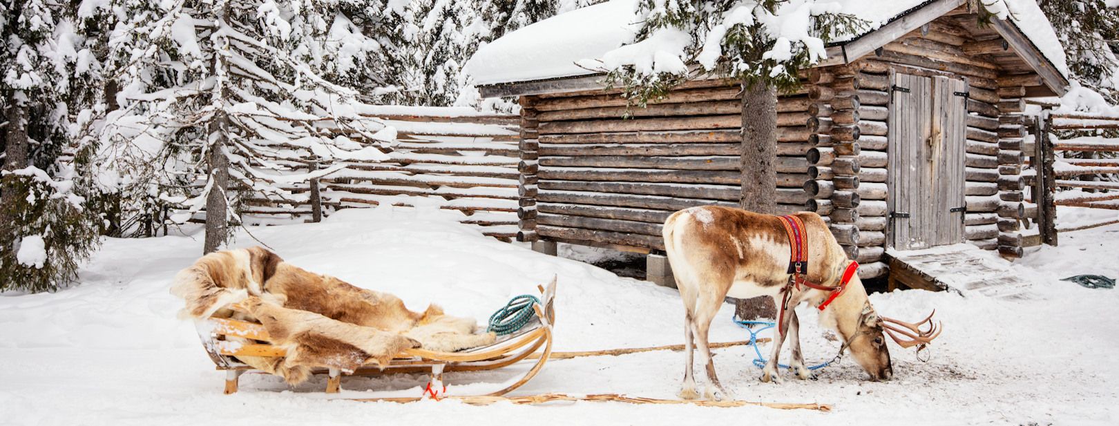 Séjour activités "Balade en Laponie" Mondi Club Sodankyla pas cher photo 2