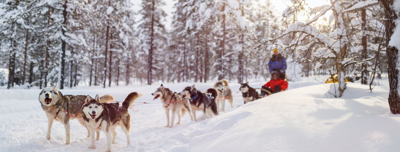 Séjour activités "Balade en Laponie" Mondi Club Sodankyla pas cher photo 1