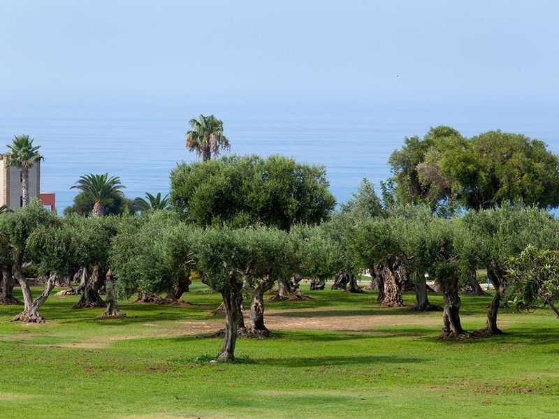 Club Marmara Alicudi 4* pas cher photo 12