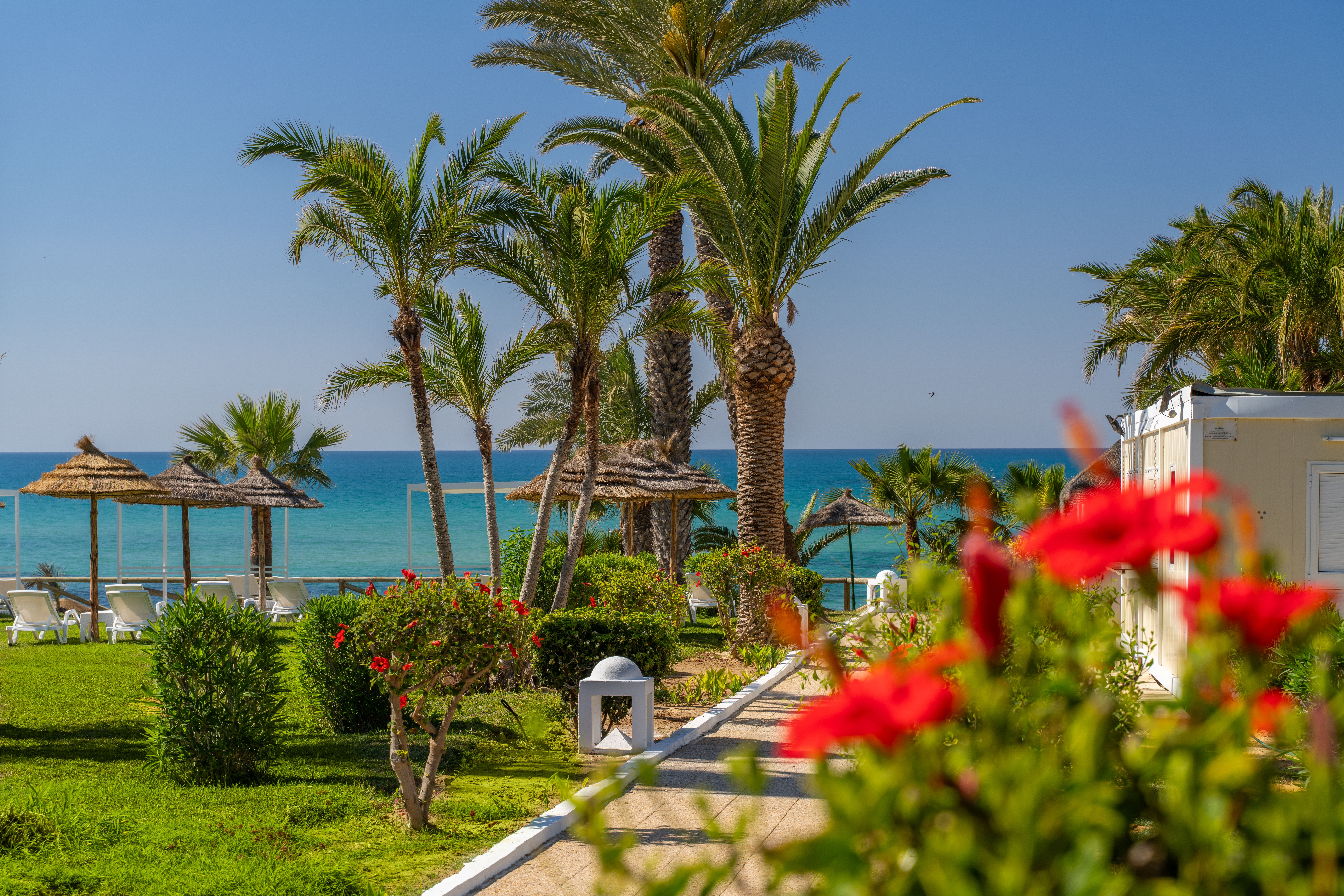 Hôtel TUI BLUE Palm Beach Club Hammamet 4* pas cher photo 2