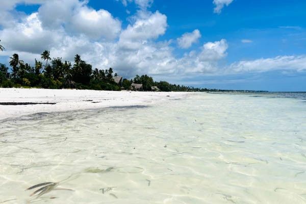 Hôtel Palumbo Mnemba View Resort 4* sup pas cher photo 2