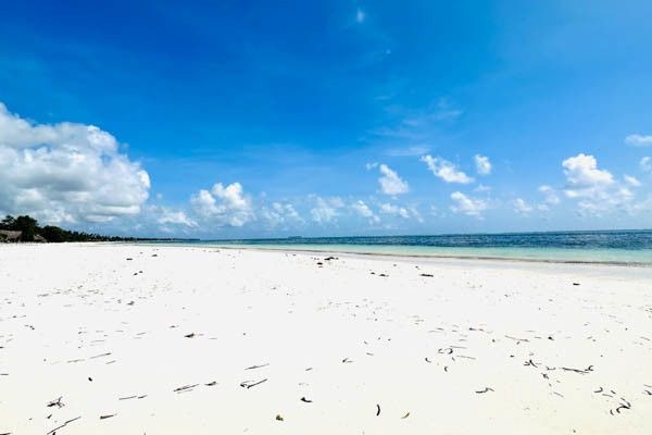 Hôtel Palumbo Mnemba View Resort 4* sup pas cher photo 3