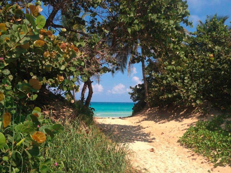 Bravo Hotel Arenal 4* - Vols Air France pas cher photo 8