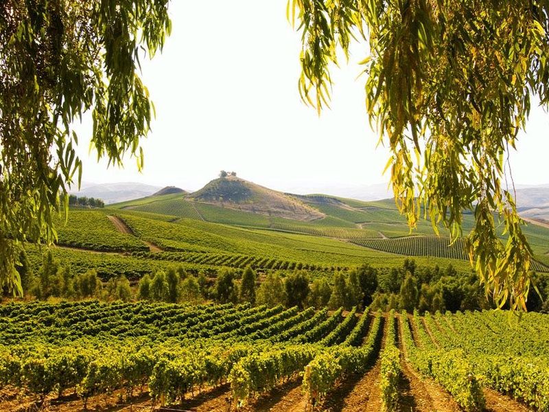 Hôtel Dolcestate 4* pas cher photo 13