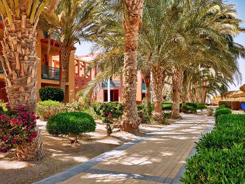 Hôtel Sheraton Miramar Resort El Gouna 5* pas cher photo 16