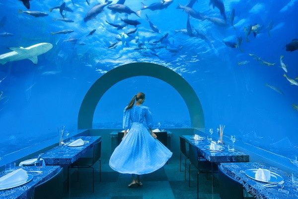 Hôtel You & Me Maldives 5* pas cher photo 8