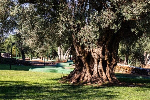 Hôtel CDSHotels Terrasini 4* pas cher photo 13