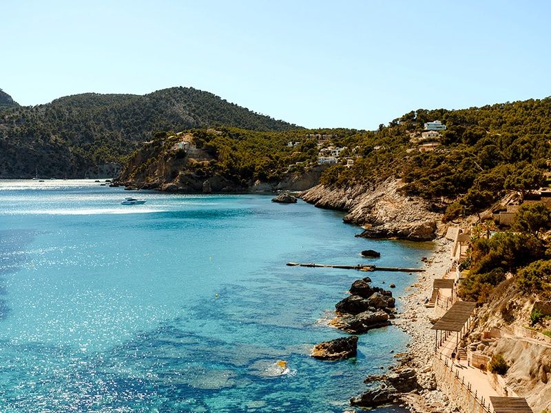 Hôtel Alua Gran Camp de Mar 4* pas cher photo 18